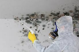 Best Forensic Mold Investigation in Lemon Hill, CA